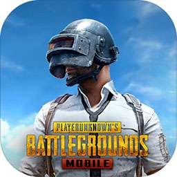 pubg国际服地铁逃生正版